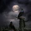 familyaddms_4