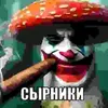saanzdnspcj