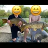 henry.charlie.fis