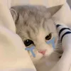 didididididididi.234