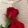 taha76328