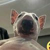 actboby66