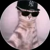pogivhitzyarmy