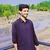 sardarzada.waqar