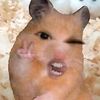 tikus_kecemplung