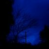 lusive_1337