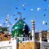 ashir.saleem120