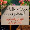 user8203746805067