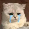 kunsiuuuuu