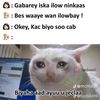boqorka.nolosha4