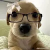 quanghuydepzai10