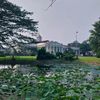 backtonature10