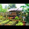 Sahun Farm & Garden