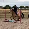 lillyprovxx