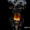 user52068010716288