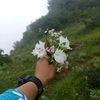 ashmi.xettri