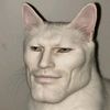 fopflashtheking12438