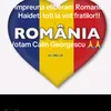 voicu596