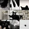 ech0thewolfie