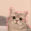 michaeladalida915