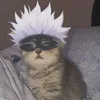 sophiastrohalm