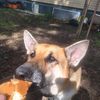 wilma6679