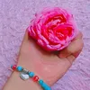 aliadss8