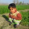 user49324503760134