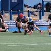 lionswales8