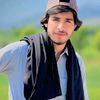 zargoo.1071
