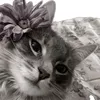 voiu_ducnhien22