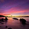 twilight4439