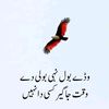 neelam.jaan1