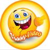 Funny video dz