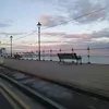 lilyrose.xx83
