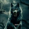 user4113413151877