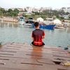 samirmaddehi