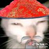 tichinois.com