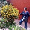doloreszanabria