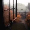 drifter_vibes