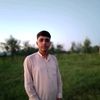 shad.ali526