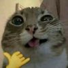 user058659196