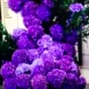 user7808146035287