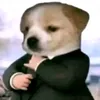 nhattanalone77