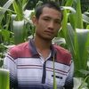 ko.phyoo52