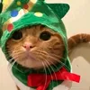 satoshi_official25