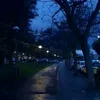 tompel_06