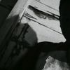 gelandang_8
