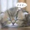 kussia_yzhe_ne_tort