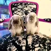 lumi.and.pilvi